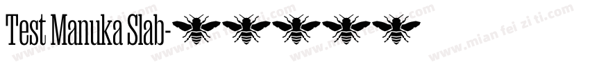 Test Manuka Slab字体转换